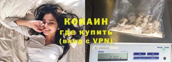 гашик Горняк
