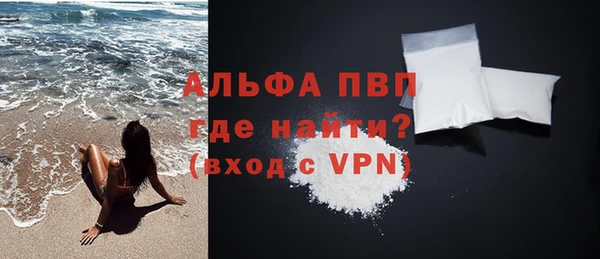 индика Горнозаводск