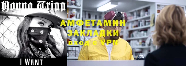 индика Горнозаводск