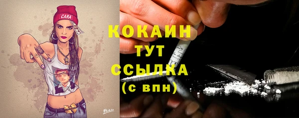 индика Горнозаводск