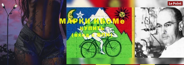 гашик Горняк