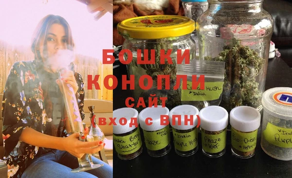 индика Горнозаводск