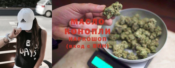 индика Горнозаводск
