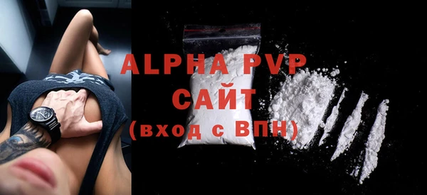 гашик Горняк