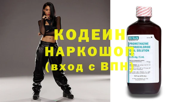 гашик Горняк