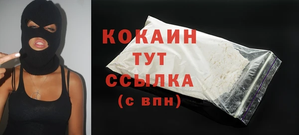 индика Горнозаводск