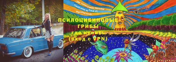 индика Горнозаводск