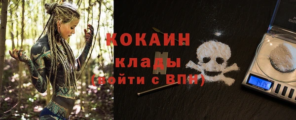 гашик Горняк