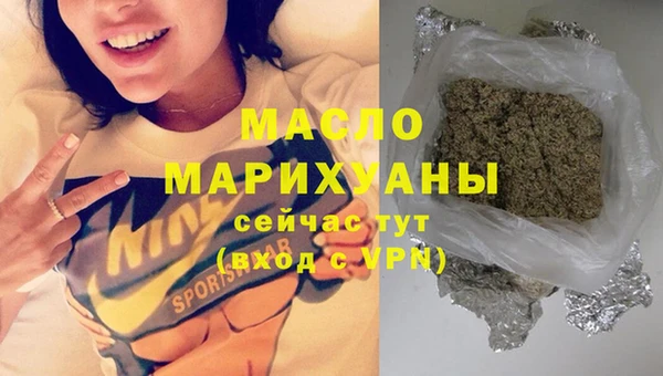индика Горнозаводск