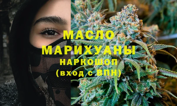 гашик Горняк