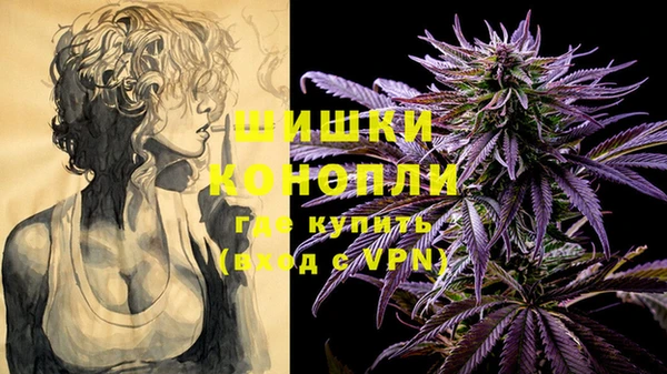 гашик Горняк
