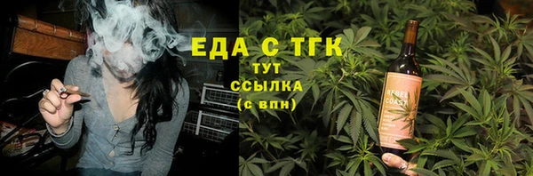 индика Горнозаводск