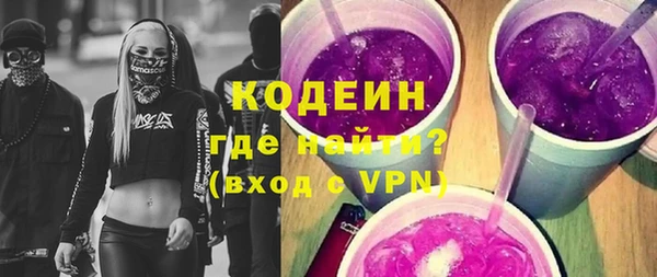индика Горнозаводск