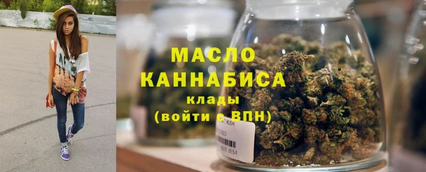 гашик Горняк