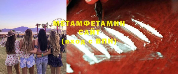 индика Горнозаводск