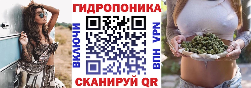 Бошки марихуана Amnesia Москва